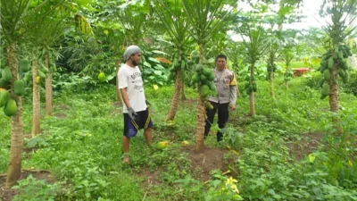 Cara Efektif Pemanfaatan Lahan Kosong di Desa Jagaraga