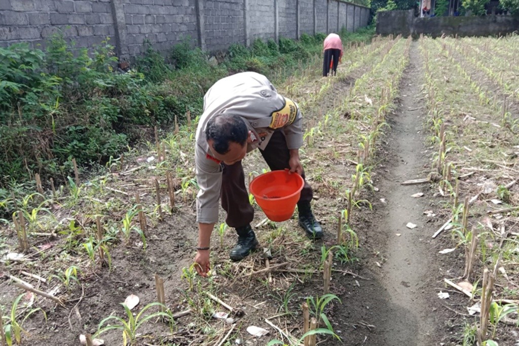 Polri Perkuat Pendampingan Pertanian Berkelanjutan di Lombok Barat