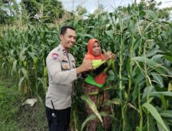 Polri dan Petani di Lombok Barat Perkuat Ketahanan Pangan