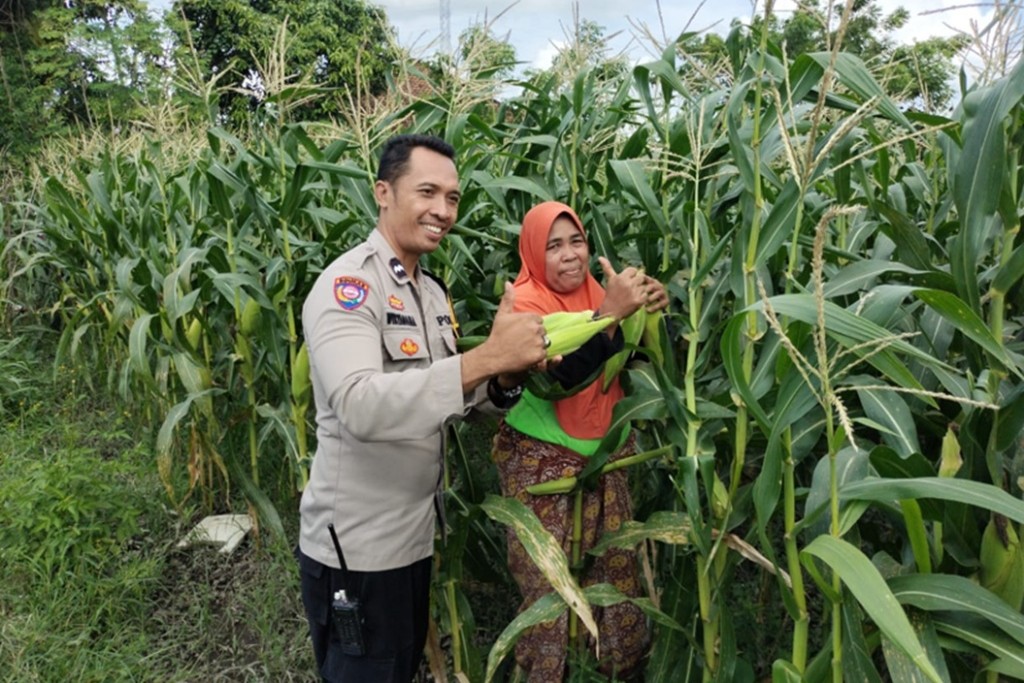 Polri dan Petani di Lombok Barat Perkuat Ketahanan Pangan