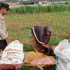 Polres Lombok Barat Kawal Swasembada Pangan di Karang Bongkot