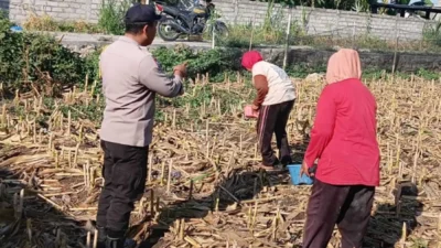 Sinergi Polsek Labuapi dan Petani Desa Karang Bongkot