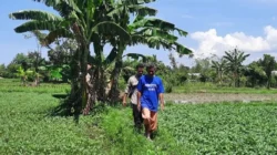 Bhabinkamtibmas Desa Bengkel Dampingi Warga Kelola Lahan Pangan Mandiri