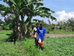 Bhabinkamtibmas Desa Bengkel Dampingi Warga Kelola Lahan Pangan Mandiri