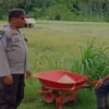 Dukung Ketahanan Pangan Nasional, Bhabinkamtibmas Giri Tembesi Dampingi Petani Lokal