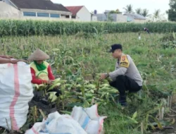 Polres Lombok Barat Kawal Ketahanan Pangan di Desa Labuapi