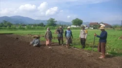 Bhabinkamtibmas Desa Tempos Turun ke Sawah, Kawal Petani Dusun Luwuk Wujudkan Swasembada Pangan