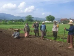 Bhabinkamtibmas Desa Tempos Turun ke Sawah, Kawal Petani Dusun Luwuk Wujudkan Swasembada Pangan