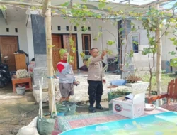 Lahan Sempit Bukan Halangan, Warga Banyu Urip Sulap Pekarangan Jadi Sumber Cuan dan Pangan