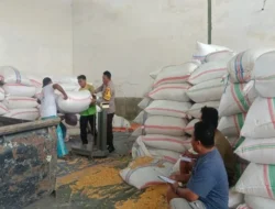 Polsek Gerung Kawal Distribusi Jagung di Desa Beleke