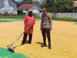 Pantau Proses Penjemuran Jagung, Bhabinkamtibmas Dukung Ketahanan Pangan di Dompu
