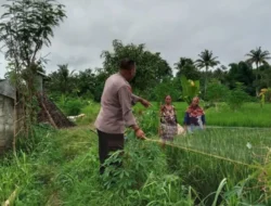 Polsek Labuapi Intensifkan Pendampingan Pertanian di Bagik Polak Barat