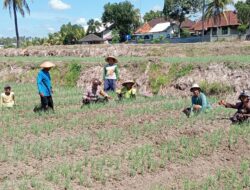 Bhabinkamtibmas Desa Wanasaba Lakukan Sambang dan Sosialisasi Program Pemerintah