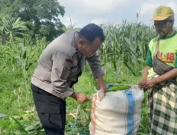 Strategi Ketahanan Pangan Nasional Lewat Bhabinkamtibmas