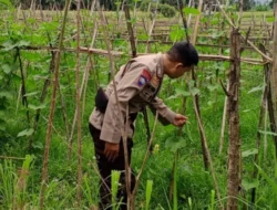 Polri Kawal Program Ketahanan Pangan di Desa Terong Tawah