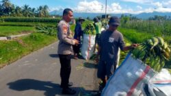 Kapolsek Wanasaba Silaturahmi dan Koordinasi Persiapan Panen Raya Jagung di Mamben Baru