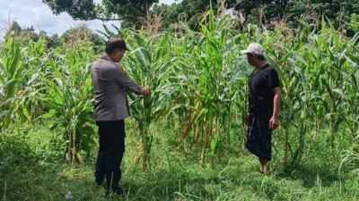 Bhabinkamtibmas Karang Bongkot Intensifkan Pendampingan Sektor Pertanian Guna Percepat Swasembada Pangan