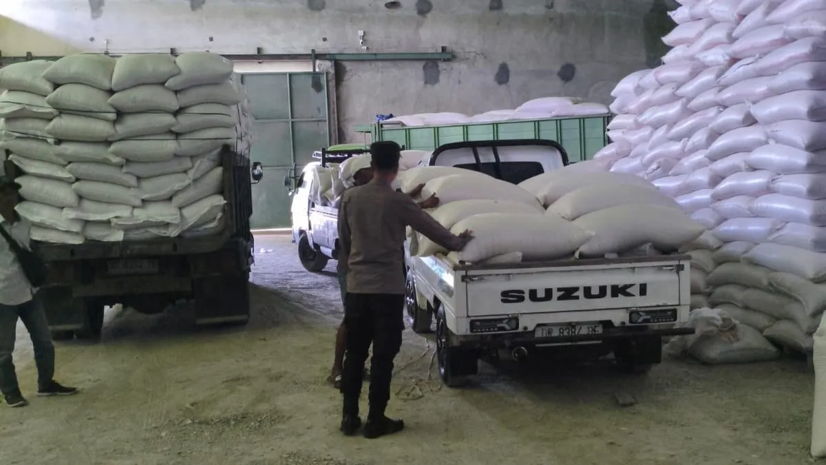 Petani Sekotong Bernapas Lega, Ribuan Kilogram Jagung Berhasil Tembus Standar Ketat Bulog dengan Pengawalan Polri