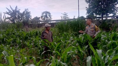 Polres Lobar Kawal Program Ketahanan Pangan Nasional di Desa