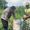 Sinergi Nyata di Tengah Ladang, Polisi dan Petani Labuapi Kolaborasi Demi Swasembada Pangan