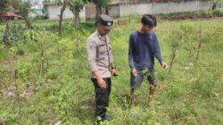 Bhabinkamtibmas Desa Paokmotong Monitoring Program Ketahanan Pangan