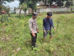 Bhabinkamtibmas Desa Paokmotong Monitoring Program Ketahanan Pangan