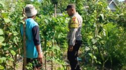 Bhabinkamtibmas Desa Labuhan Haji Laksanakan Sambang Lahan Ketahanan Pangan Bergizi di Dusun Sisik