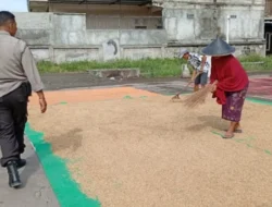 Sinergi Polri dan Masyarakat, Bhabinkamtibmas Desa Merembu Perkuat Ketahanan Pangan Berkelanjutan