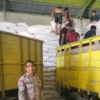 Sinergi Polri dan Petani, Distribusi Jagung Pipilan ke Gudang Bulog Gelogor Demi Ketahanan Pangan