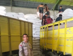 Sinergi Polri dan Petani, Distribusi Jagung Pipilan ke Gudang Bulog Gelogor Demi Ketahanan Pangan
