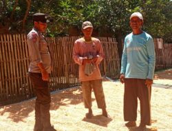 Ketahanan Pangan Nasional, Bhabinkamtibmas Polsek Bolo Cek Harga dan Bantu Jemur Jagung Warga Binaan