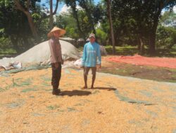DORONG KETAHANAN PANGAN DAN AJAK PETANI SALURKAN HASIL PANEN KE BULOG