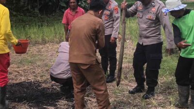 Kapolsek Terara Pimpin Penanaman Jagung Bersama Kelompok Tani di Selagik