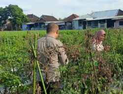 Bhabinkamtibmas Masbagik Utara Sambangi Petani, Ajak Warga Jaga Ketahanan Pangan dan Kamtibmas