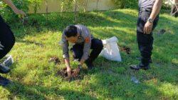 Personel Polres Bima Kota Tanam Sayur, Manfaatkan Lahan Kosong Dukung Pekarangan Pangan Lestari