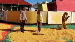 Polsek Dompu Dukung Ketahanan Pangan Melalui Kegiatan Sambang Bhabinkamtibmas di Desa Manggenae