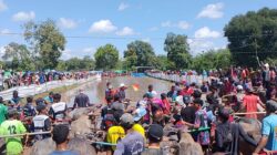 Pastikan Keamanan Tradisi Barapan Kebo, Polsek Lape Siagakan Personel di Jalur Lintas Sumbawa-Bima