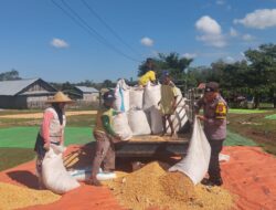 Bhabinkamtibmas Desa Kempo Pantau dan Bantu Proses Penjemuran Jagung, Wujud Dukungan Ketahanan Pangan Nasional
