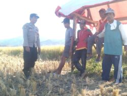 Sederhana Tapi Bermakna, Tanpa ada Jarak, Bhabinkamtibmas Polsek Woha Empati Sambangi dan Bantu Panen Padi Warga Binaan