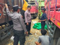 Ribuan Sapi NTB Serbu Jawa, Polisi Kawal Ketat Antrean Truk di Pelabuhan Lembar