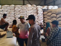 Langkah Strategis Amankan Pangan, Puluhan Ton Jagung Hasil Panen Lombok Barat Resmi Masuk Bulog