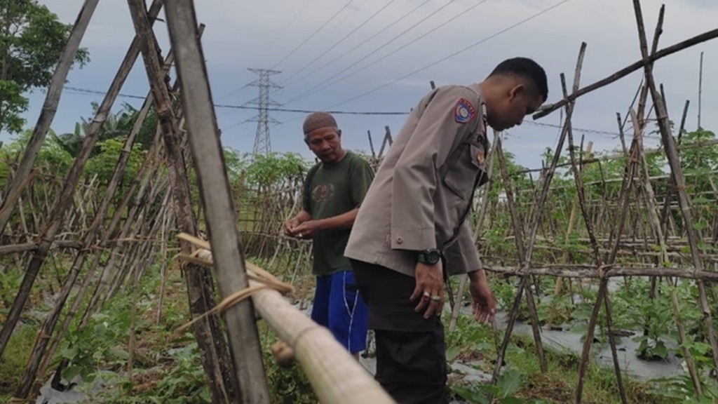 Bhabinkamtibmas Kuranji Dalang Perkuat Ketahanan Pangan