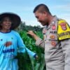 Bhabinkamtibmas Desa Bagik Papan Laksanakan Silaturahmi dan Cek Tanaman Jagung, Dukung Program Ketahanan Pangan