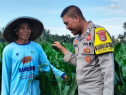 Bhabinkamtibmas Desa Bagik Papan Laksanakan Silaturahmi dan Cek Tanaman Jagung, Dukung Program Ketahanan Pangan