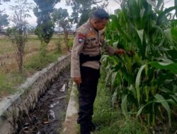 Strategi Bhabinkamtibmas di Lombok Barat Pacu Produktivitas Desa demi Ketahanan Pangan Nasional
