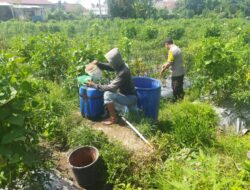 Bhabinkamtibmas Desa Lendang Nangka Cek Lahan Ketahanan Pangan Bergizi di Goa Punik