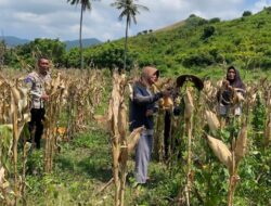 Polsek Sekotong Jaga Ketahanan Pangan di Batu Putih