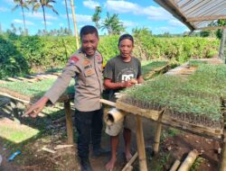 Bhabinkamtibmas Desa Bagik Papan Silaturahmi dan Cek Bibit Pertanian Warga Dukung Program Ketahanan Pangan