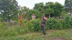 Sinergi TNI-Polri Kawal Ketahanan Pangan di Lombok Barat