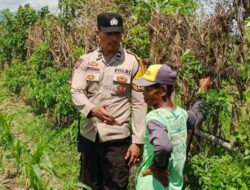 Polsek Labuapi Dorong Petani Manfaatkan Lahan Kosong